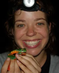 Amphibian Taxonomy, Evolution, Ecology & Conservation Jodi ROWLEY r765085 6464879